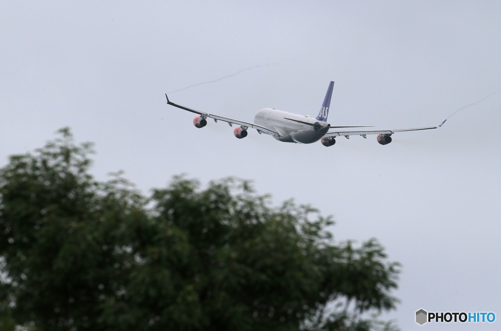 「くもり」 SAS A340-313 OY-KBD Takeoff  