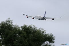 「くもり」 SAS A340-313 OY-KBD Takeoff  