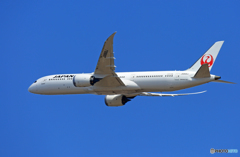 「青色が好き」 JAL 787-9  ☮Takeoff 