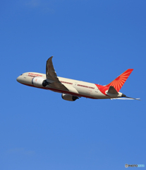☀「青い空」が一番 Air India 787-8 Takeoff 
