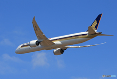 「ブルー」 Singapore 787-10 9V-SCH 飛び立ち