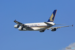 「青空」 Singapore A380-841 9V-SKE 出発
