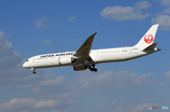 「青い日」 JAL 787-9 JA865J Landing