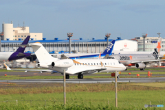 「すかい」 プライベート機 BD-700 N796GL 飛ぶ