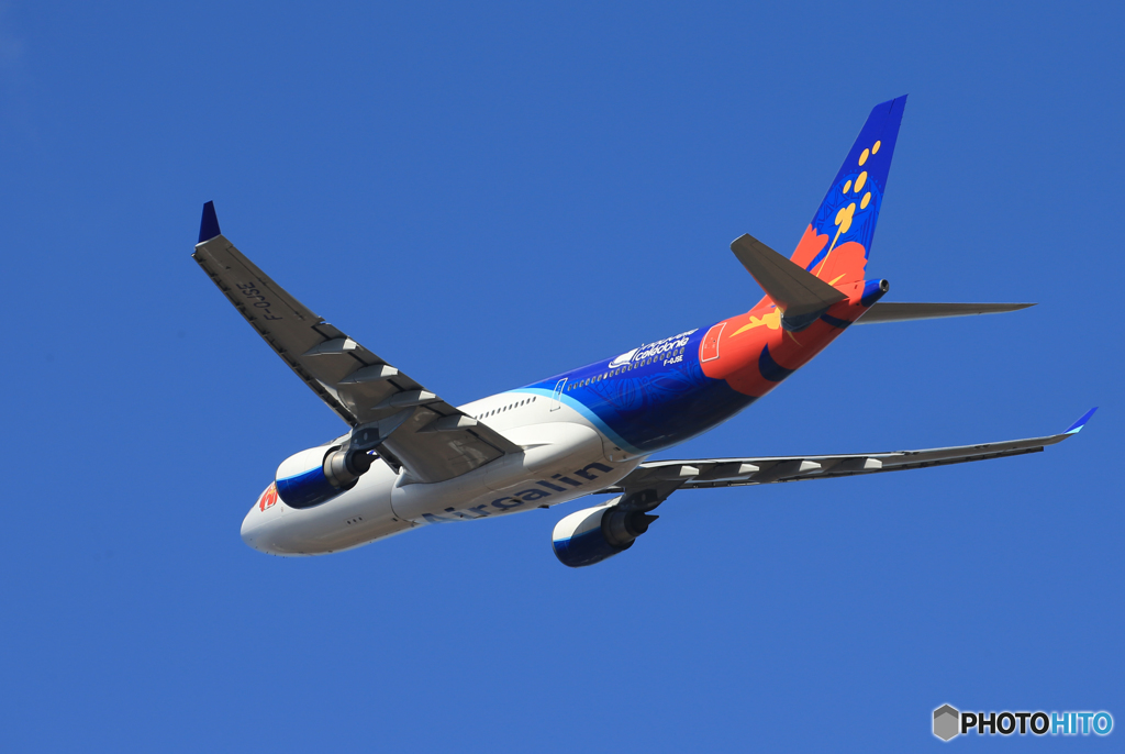 「群青」 Air Calin A330-202 F-OJSE 出発