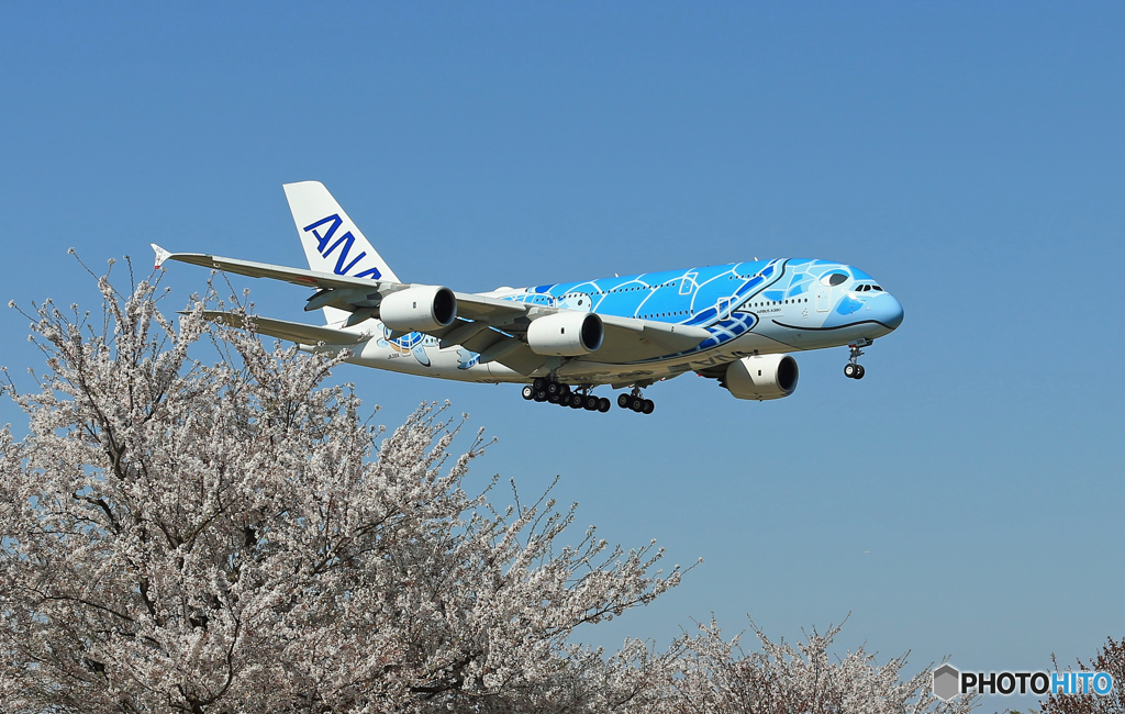 「平成」-「令和」 A380-841 [Flying Honu] JA381A