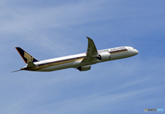 「すかい」 Singapore 787-10 9V-SCF Takeoff 