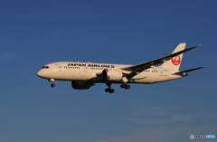 「青い日」JAL 787-8 JA843J  Landing