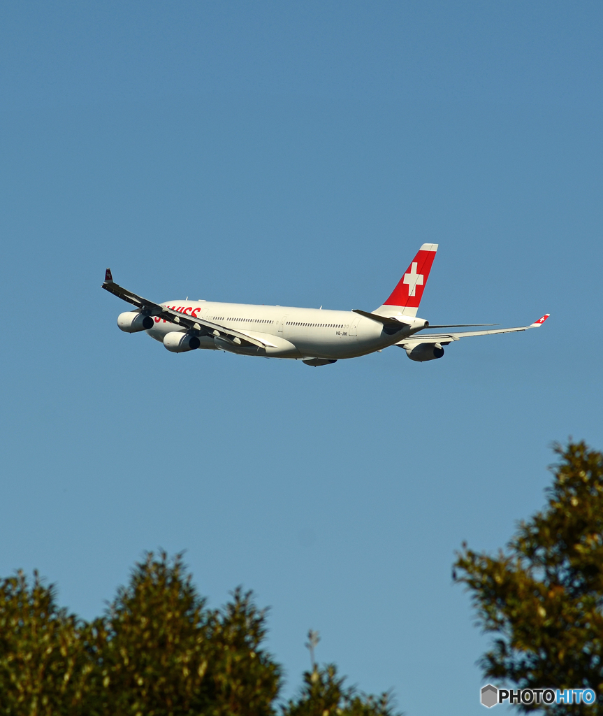 「青空」 SWISS A340-313 HB-JMI 飛び立ち