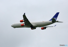 「☁」 SAS A340-313 OY-KBD 着陸