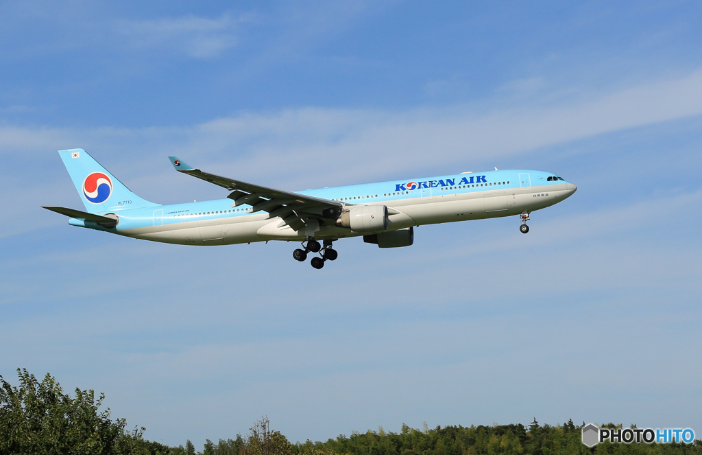 「そらー」 Korean A330-300 HL7710 着陸します