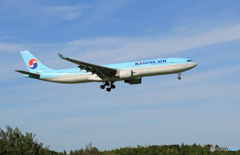 「そらー」 Korean A330-300 HL7710 着陸します