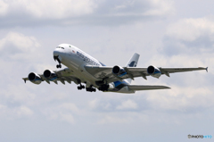 「青空」 Malaysia A380-841 9M-MNE 飛ぶ