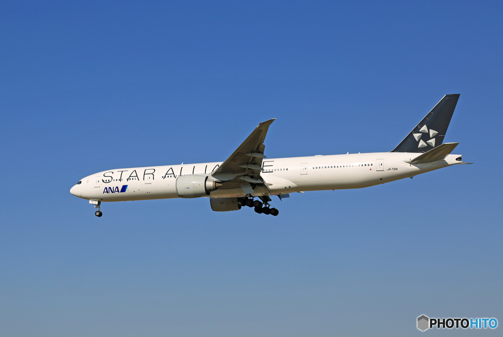 「すかい」 ANA スタアラ 777-381 JA731A着陸します 
