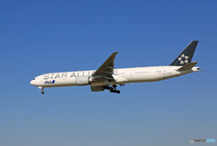 「すかい」 ANA スタアラ 777-381 JA731A着陸します 