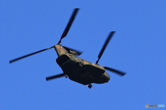 「SKY」☮ 日 本 を 守 る ☮