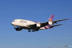 「令和」 Thai A380-841 HS-TUD 記念