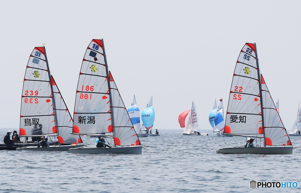 「すかい」ヨットセーリング大会