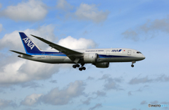 「青が好き」 ANA 787-8 JA806A 飛行