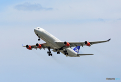 「青が大好き」 SAS A340-313 OY-KBD 離陸
