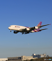「晴れ」 Thai A380-841 HS-TUC 空港・風景