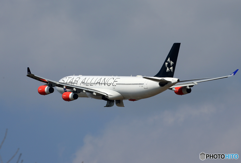 「あおいそら」 SAS STAR A340-313 OY-KBM