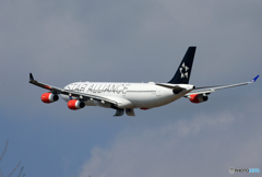 「あおいそら」 SAS STAR A340-313 OY-KBM