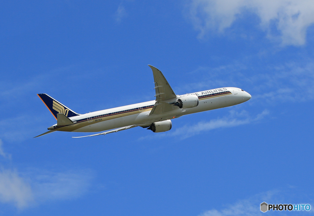 「真青の空」 Singapore 787-10 9V-SCA 飛行