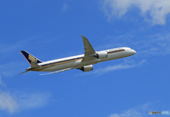 「真青の空」 Singapore 787-10 9V-SCA 飛行