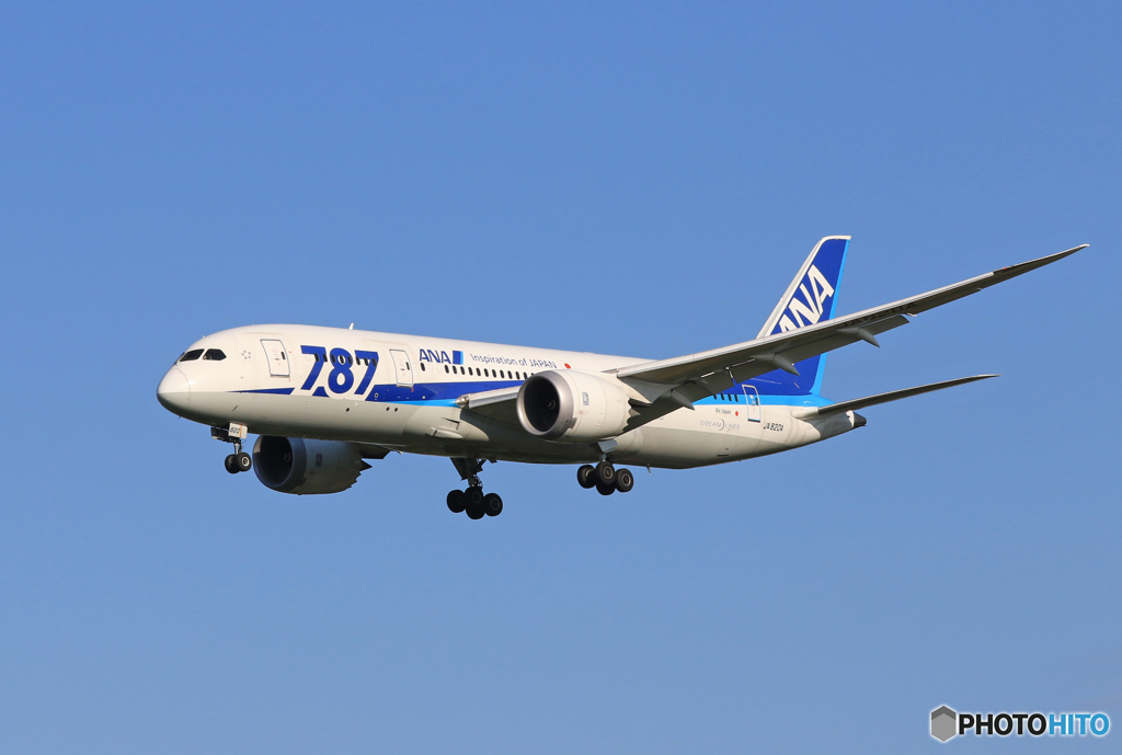  「晴れ」 ANA 787-8 JA820A 着陸