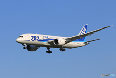  「晴れ」 ANA 787-8 JA820A 着陸