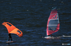「群青色」風 と 戯 れ る