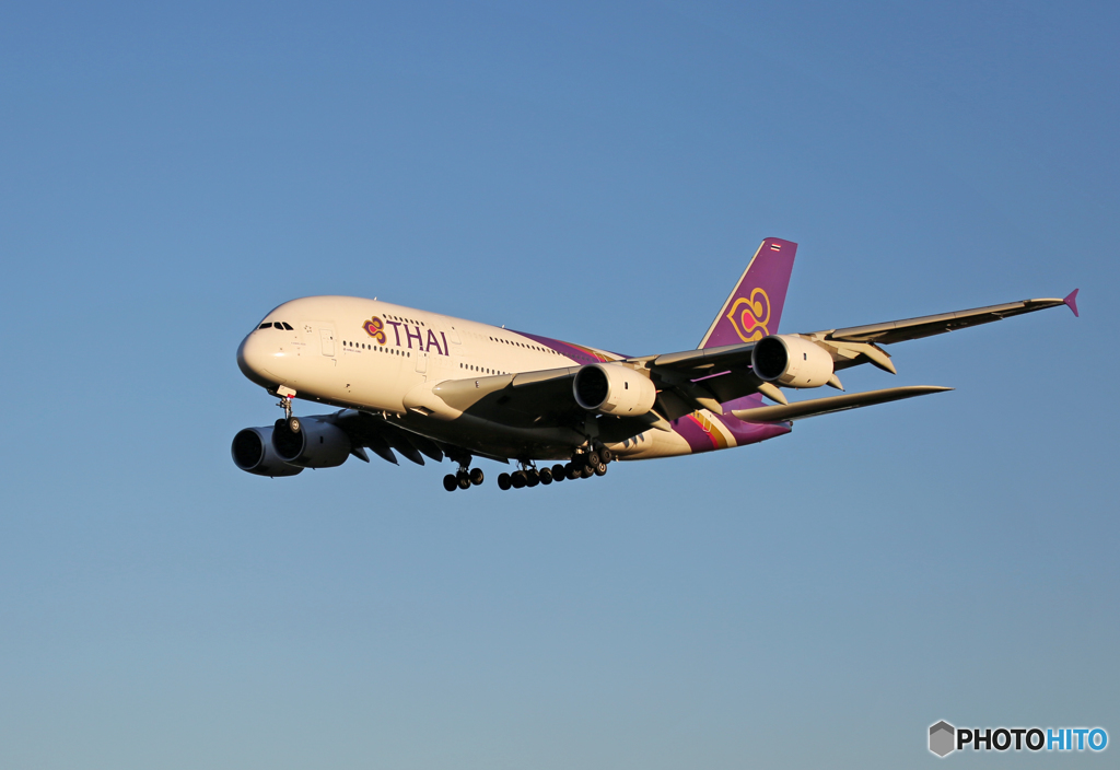 「すかい」 THAI A380-841 HS-TUF 飛行 