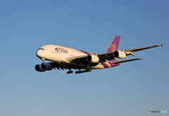 「すかい」 THAI A380-841 HS-TUF 飛行 