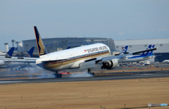 「令和」 Singapore 787-10 9V-SWE Landing 