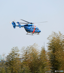 千葉県警ヘリ「かとり」kawasaki BK117空港警備です