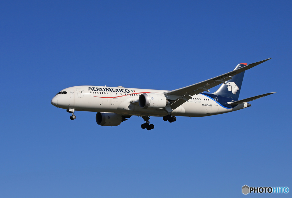 「あおいそら」Aeromexico 787-8 着陸します