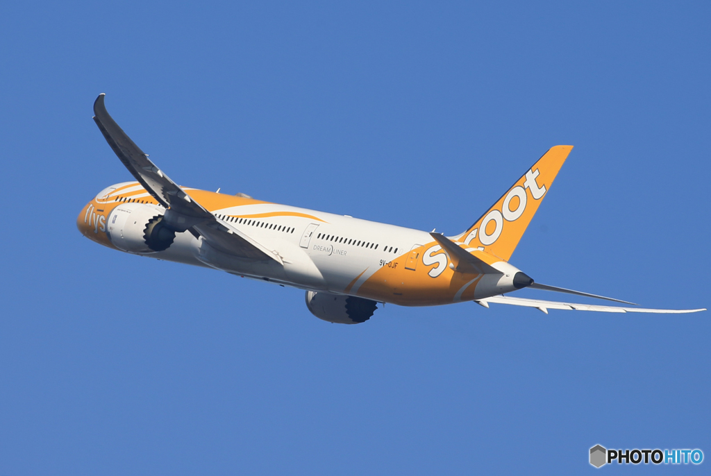 「ブルー」scoot 787-9 9V-OJF 飛び立ちです