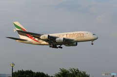 「青色」 EMIRATES A380-861 A6-EDC Landing