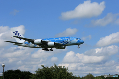 「青が好き」 ANA A380-841 「Flying Honu１」着陸