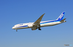 ☀「青い空」が一番 ANA 787-9 JA891A 到着