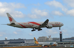「青が大好き」 Smiling China Livery Landing