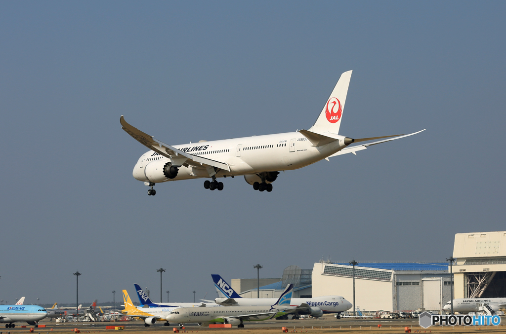 「あおいそら」 JAL 787-9 JA863J 空港・風景