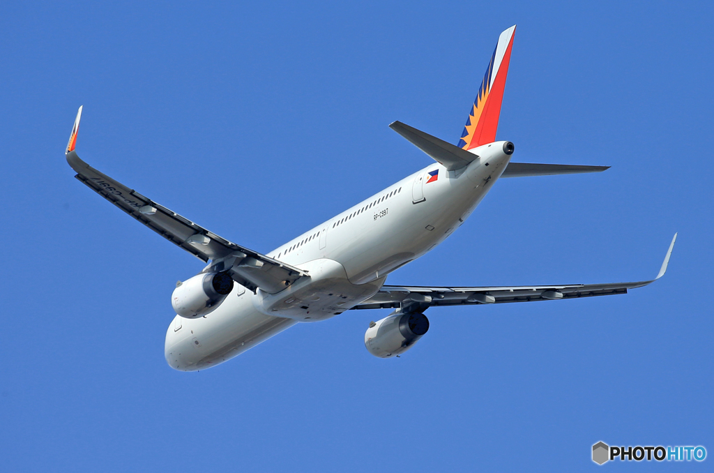 「青色」Philippines A321-200 RP-C9917 飛ぶ