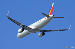 「青色」Philippines A321-200 RP-C9917 飛ぶ