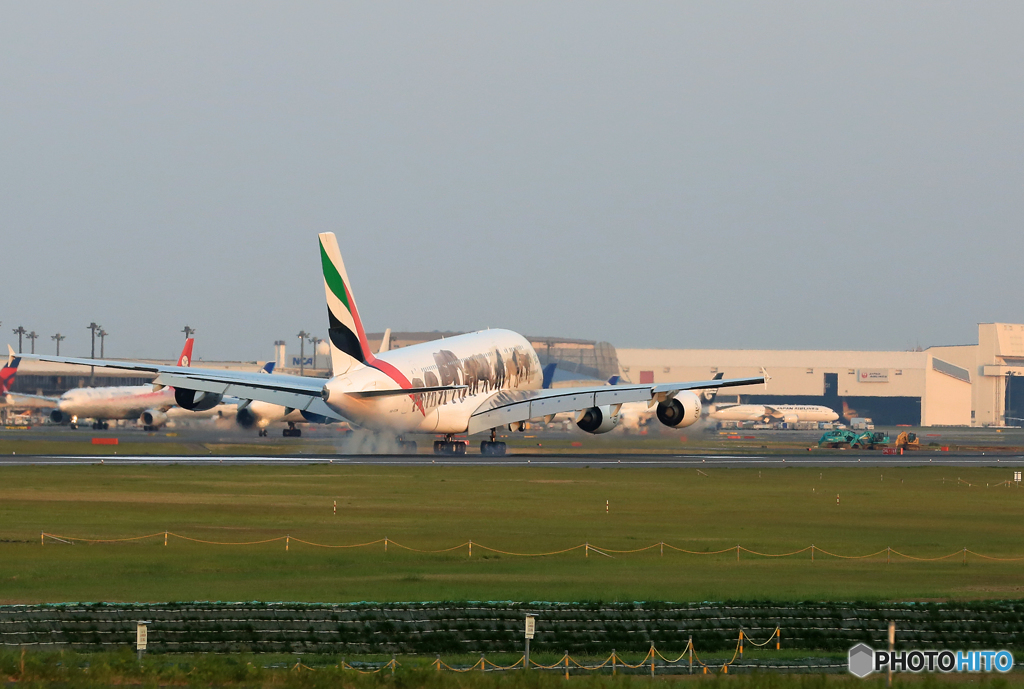 「すかい」 エミレーツ A380-861 A6-EOM 着陸します