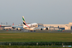 「すかい」 エミレーツ A380-861 A6-EOM 着陸します