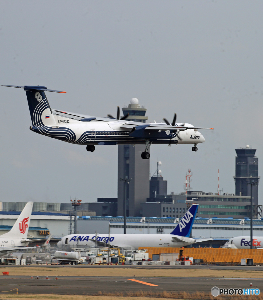 「群青」 Aurora DHC-8-400 RA-67262 Landing 