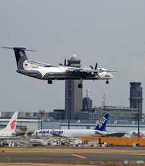 「群青」 Aurora DHC-8-400 RA-67262 Landing 