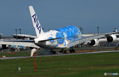 「ブルー」ANA A380-841 JA381A 着陸